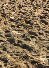 footprints in the sand