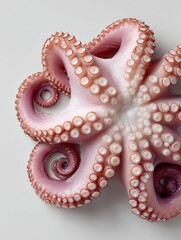 Obraz premium Premium High-Quality Octopus Tentacles Close-Up Authentic Seafood Ingredient for Culinary Selection and Gourmet Food Marketing Content