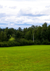 Obraz premium Fields, hills and meadows. Typical labndscape of Kashubia in Poland.