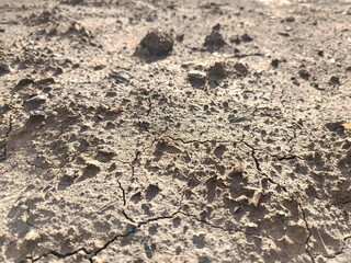 compacted and cracked earth surface close-up