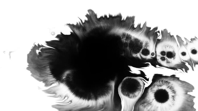 Transitions of black expanding paint stains on white backdrop Grunge Ink spreads and fills the screen. flows and streams. Ink bloom