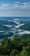 High-angle view of misty valley, lush green mountains and trees