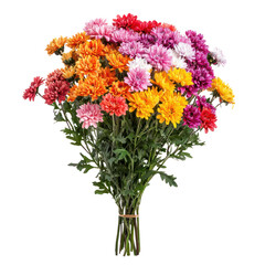 Obraz premium A vibrant bouquet of colorful chrysanthemums with green stems and leaves.