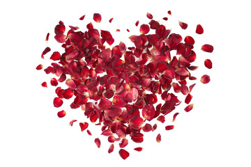 Red rose petals forming a heart shape, isolated on white transparent background
