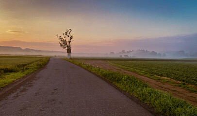 Ländliche Straße bei Sonnenaufgang mit sanftem Nebel über den Feldern und einem einsamen Baum im...