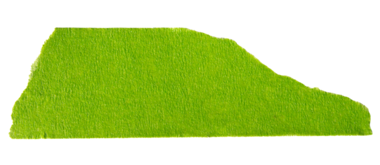Green adhesive torn paper masking tape isolated on white background