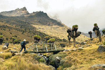 View of a hiker dwarfed by volcanic rock formations on a wooden bridge crossing a fresh water river in Mount Kenya National Park in Kenya