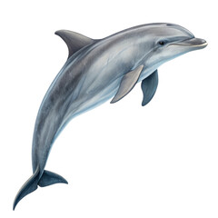Digital Painting of a Leaping Dolphin Isolated on Transparent Background, Marine Animal, Ocean Wildlife, Dolphin, Aquatic, Wildlife