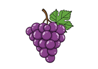 A vibrant bunch of purple grapes, highlighted by a simple cartoon style, is presented against a dark background.