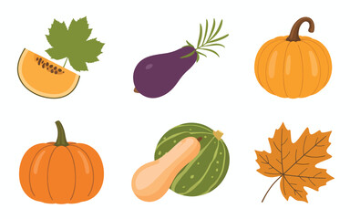 Flat pumpkin food and  leaves vector illustration