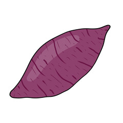 Purple Sweet Potato