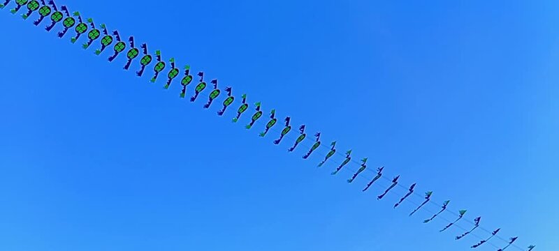 4k Shot video an unique kite resembling a long snake, flying in the countryside in the afternoon, against a bright blue sky, a fun hobby