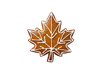 A gingerbread cookie shaped like a maple leaf, decorated with white icing details, sits against a black backdrop.