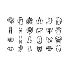 Collection of human anatomy and body part icons body parts
