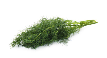 Bunch of fresh dill isolated on white