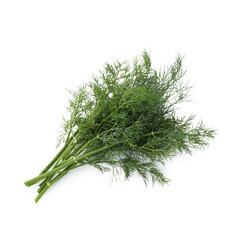 Bunch of fresh dill isolated on white, top view
