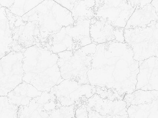 Subtle white marble texture with light gray veins, ideal for minimalistic designs.