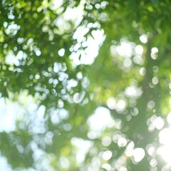 Out-of-focus greenery, sunlit leaves