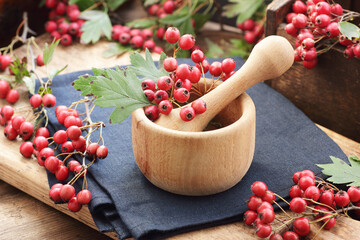Haw thorn autumn berry in wooden mortar on rustic background, red herbal drink against heart disease, insomnia, neurosis and hypertension, closeup, copy space, naturopathy concept © spiegelka