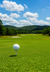 Golf Ball on Tee in Scenic Fairway