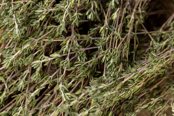 thyme for use in cooking and folk medicine, thyme spices lying on a wooden table during drying