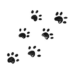 Fototapeta premium black paw prints