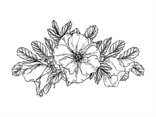Monochrome blooming flowers with leaves garland vector isolated illustration. Wild rosehip bouquet etching drawing. Floral border for herbal packaging, romantic wedding invitation, greeting card