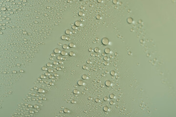 a smooth surface of dull green color covered with water droplets, a beautiful wet green film in a large number of water droplets