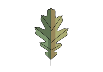 A stylized illustration of an oak leaf, featuring muted shades of green and brown, against a bold black background.