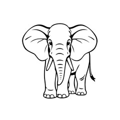 Fototapeta premium Elephant 229