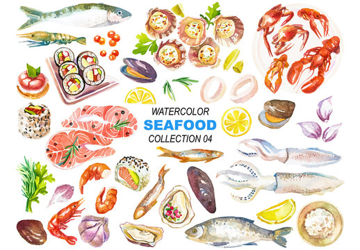 Vector watercolor painted seafood clipart. Hand drawn design elements isolated on white background.