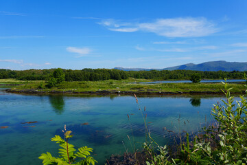 Die wunderschöne Landschaft rund um Brønnøysund in Norwegen im Sommer