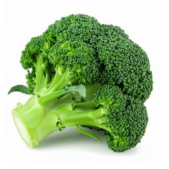 Broccoli Heads on Isolated White Background &ndash; Fresh Green Florets with Natural Lighting and Full Depth of Field