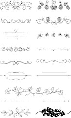 Obraz premium Decorative berry and floral ribbons set for design projects