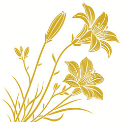 coreopsis lanceolata yellow vector