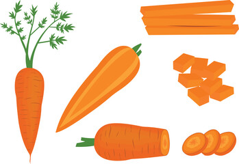 Set of colorful, half, slice, whole and vibrant illustration fresh carrot cartoon vegetables. Best vector for magazine, book, poster, card, menu designs. Carrot isolated on white background.