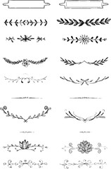 Obraz premium Collection of hand drawn succulent and decorative ribbons for creative designs