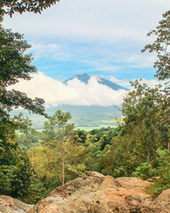 Framed View of Tropical Mountain Covered by Clouds Seen from Forest Trail with Rocky Foreground