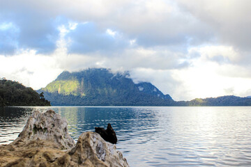 Dramatic Landscape of Mountain Lake with Driftwood in Foreground and Misty Forest Hills