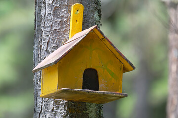 wooden bird house