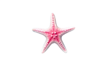 Vibrant pink starfish isolated on a pristine white background, highlighting its symmetrical shape and delicate texture, ideal for marine life and summer themes