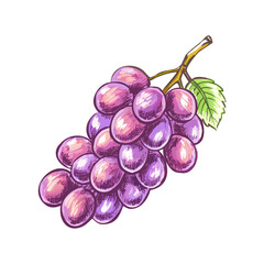 "Ultimate SVG Vector Design Bundle – Abstract, Geometric, Botanical, Mandala, Minimal, Vintage & Modern Elements for Cricut, Laser Cutting, Sublimation, and DIY Crafts"