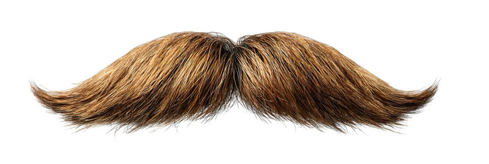 A classic bushy mustache in shades of brown, exuding a playful and whimsical charm., transparent png, cutout