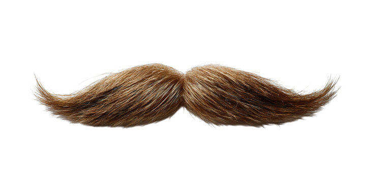 A whimsical, oversized brown mustache with a playful twist, ideal for costumes or humorous designs., transparent png, cutout
