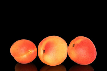 Ripe organic apricots isolated on black background, macro.