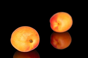 Ripe organic apricots isolated on black background, macro.