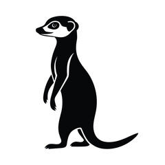 meerkat, animal, standing, mammal, wildlife, furry, desert, savanna, small, natural, rodent, predator,