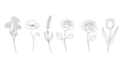 A delicate line drawing showcasing a collection of beautiful botanical illustrations featuring a variety of wildflowers and garden blooms arranged in a simple and elegant composition