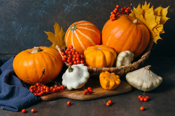 Autumn composition for Thanksgiving Day, still life background. Pumpkin harvest in basket, vegetables, patissons, autumn leaves, red berries on wooden table. Fall decoration design.