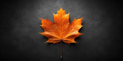 Single autumn leaf on dark background, perfect for seasonal design projects